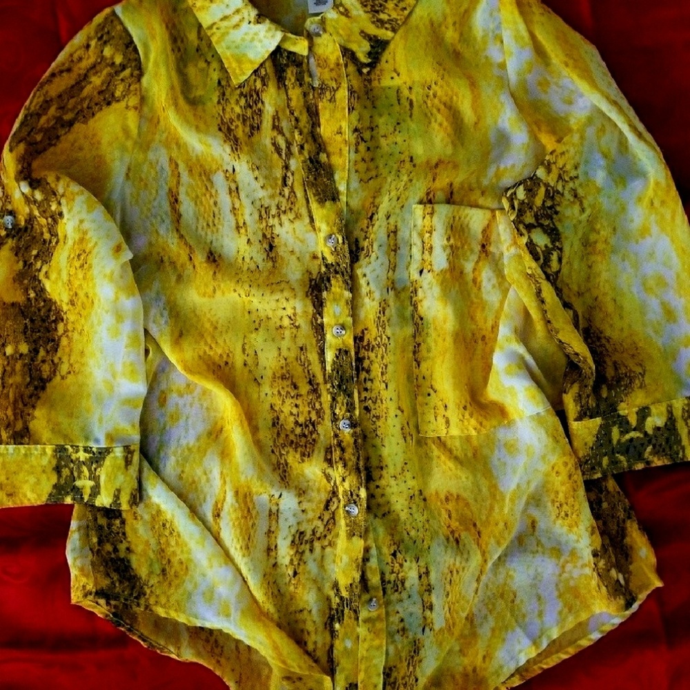 ARDEN B Chiffon, Snake-Print Blouse